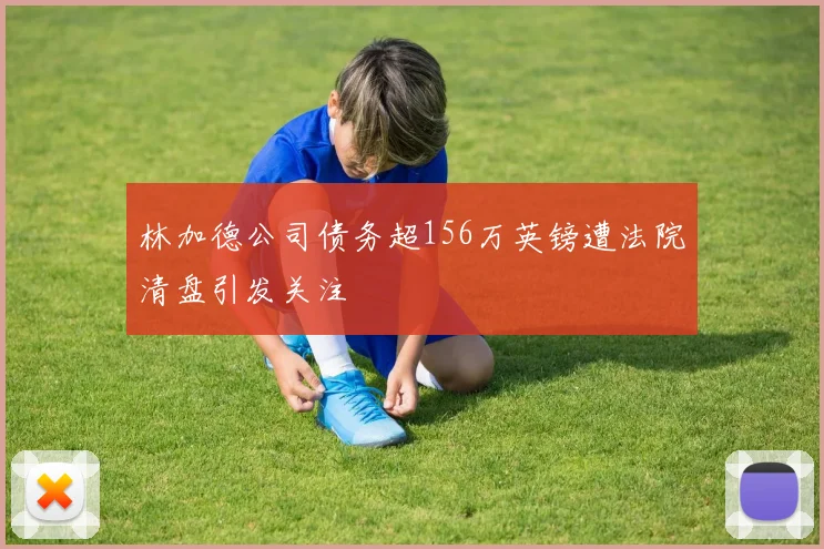 林加德公司债务超156万英镑遭法院清盘引发关注