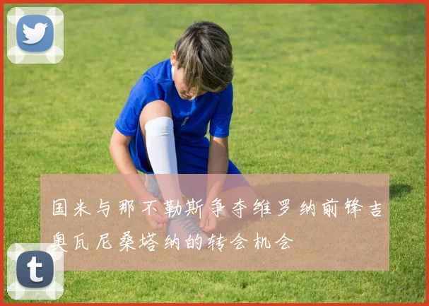 国米与那不勒斯争夺维罗纳前锋吉奥瓦尼桑塔纳的转会机会