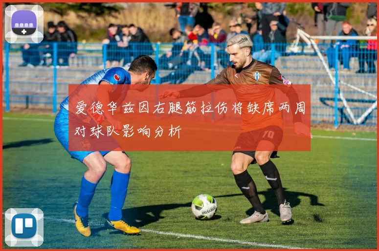 爱德华兹因右腿筋拉伤将缺席两周对球队影响分析